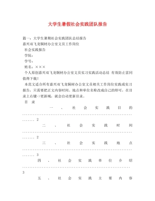 大学生暑假社会实践团队报告 (000001)