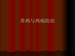 养鸡与鸡病防治演讲稿.ppt