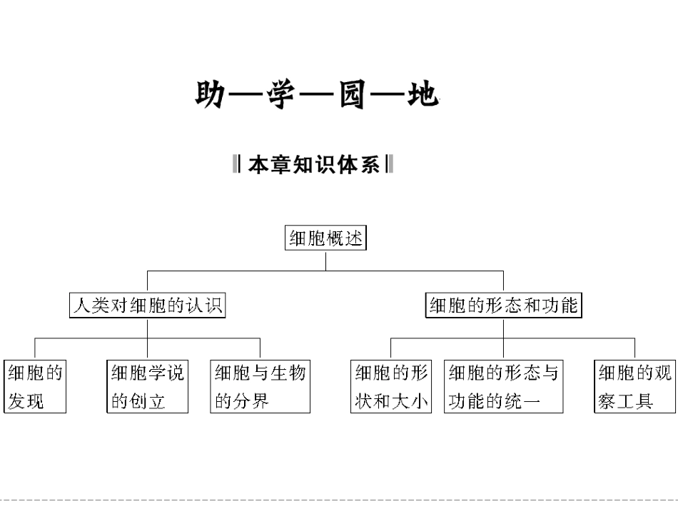 高中生物1-1章  末  整  合_第2页