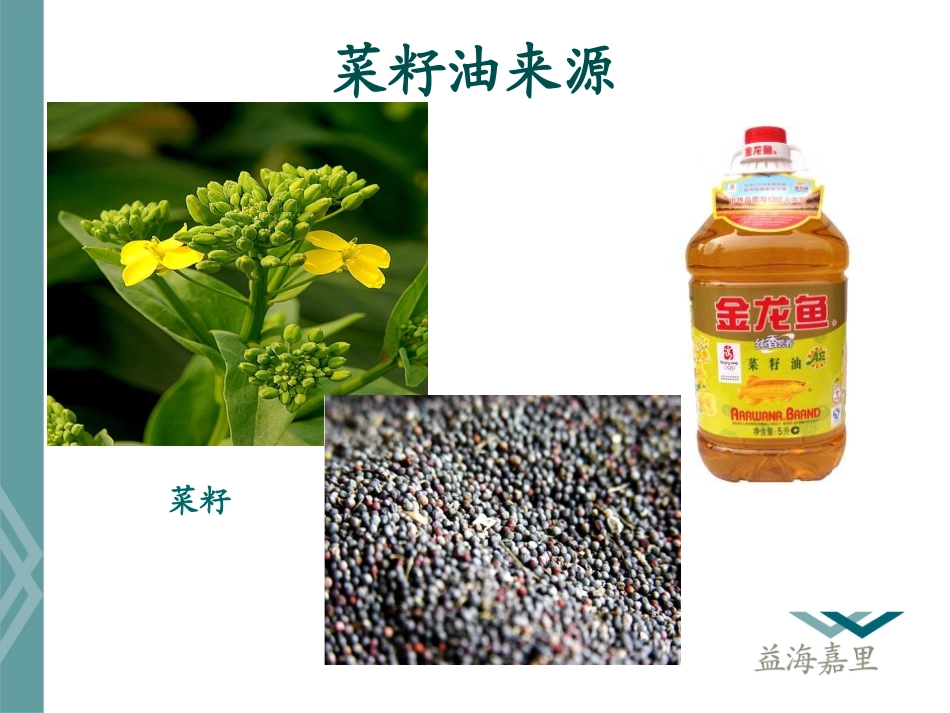 菜油基础知识及其应用_第3页