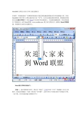 Word2003文档怎么放大字体 让他无限放大