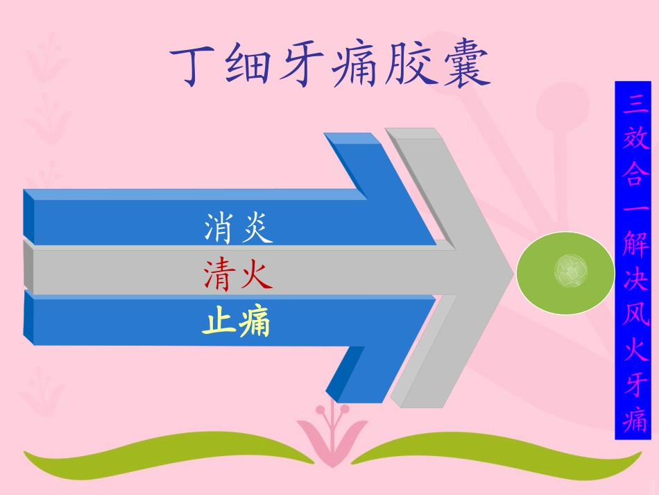 丁细牙痛胶囊_第3页