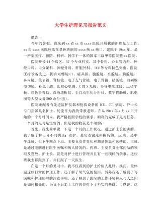 大学生护理见习报告范文 