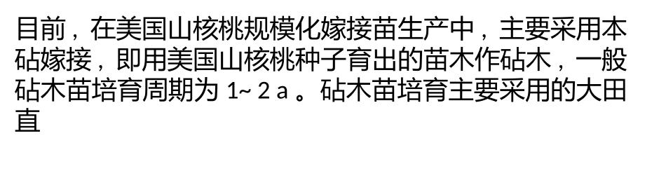 银杏树美国山核桃芽苗移栽育苗栽培方法_第1页
