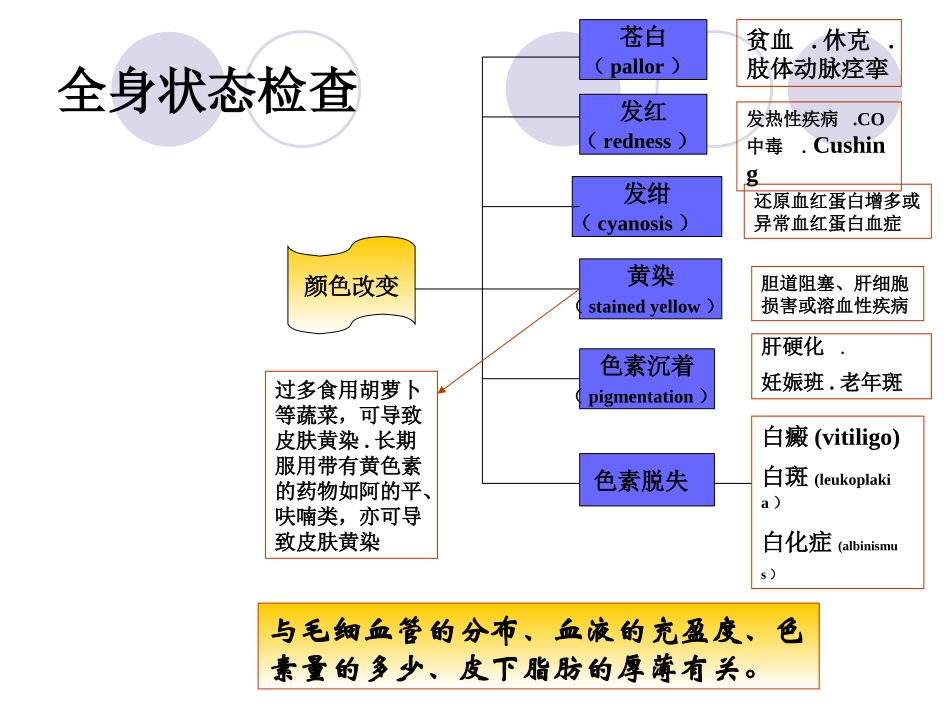 一般检查皮肤分解_第3页