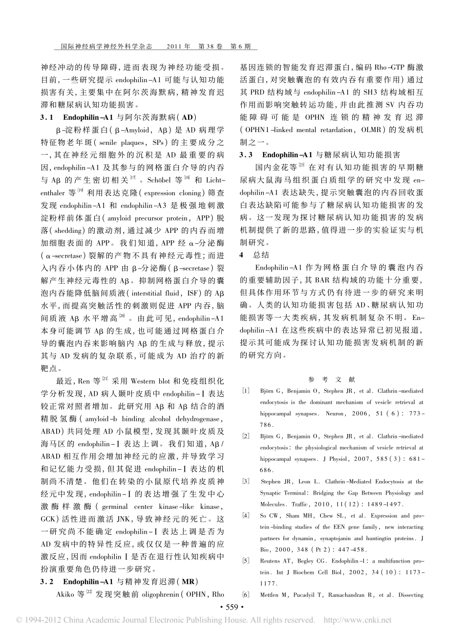 Endophilin_A1的功能和作用机制及与认知功能的关系_第3页