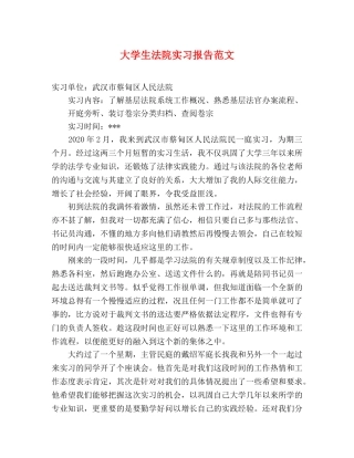 大学生法院实习报告范文 