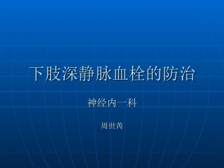 下肢深静脉血栓幻灯-周世芮