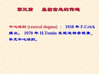 第13章 真核基因与基因组