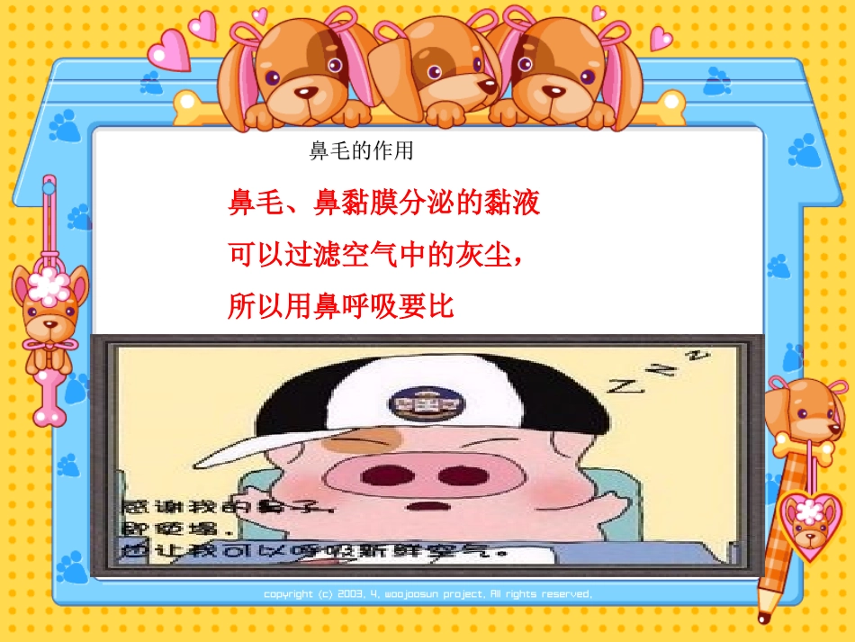 小小鼻子要保护鼻子课件_第3页