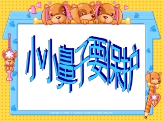 小小鼻子要保护鼻子课件