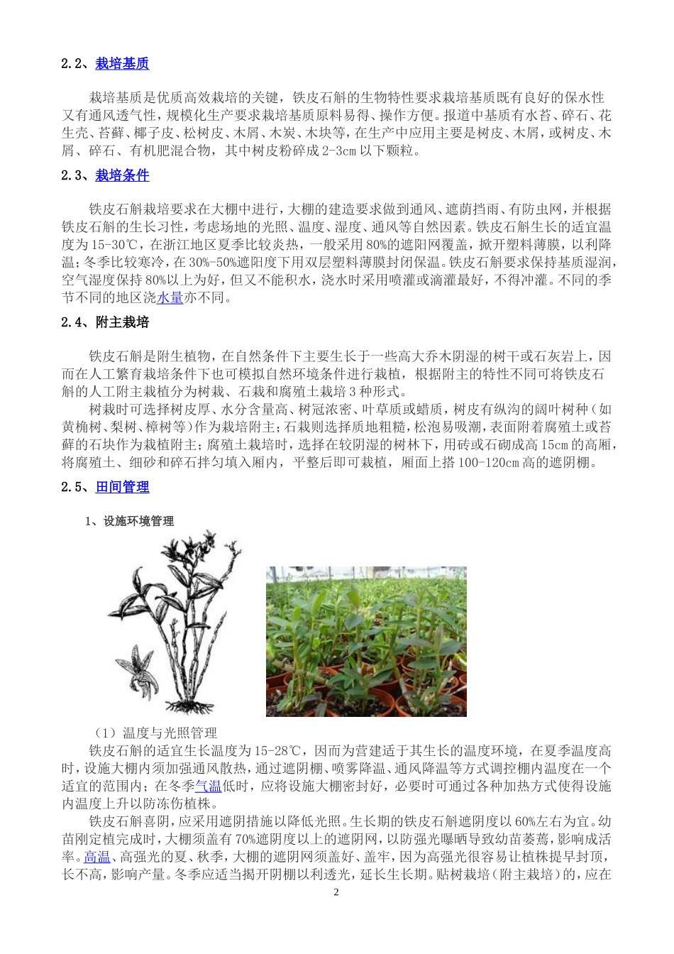 铁皮石斛汇总_第2页