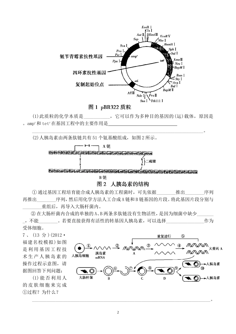 专题一  基因工程 单元测试题_第2页