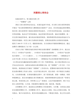 两整顿心得体会 