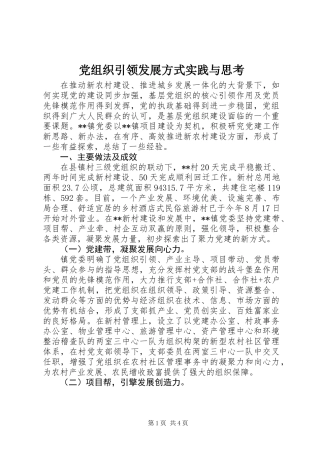党组织引领发展方式实践与思考
