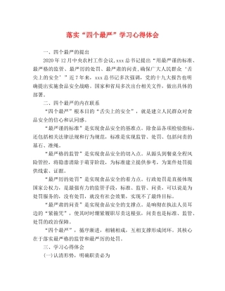 落实“四个最严”学习心得体会 