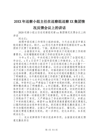 20XX年巡察小组主任在巡察组巡察XX集团情况反馈会议上的讲话发言