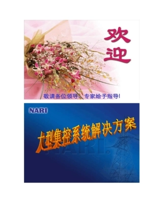 南瑞集控系统介绍