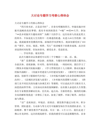 大讨论专题学习考察心得体会 