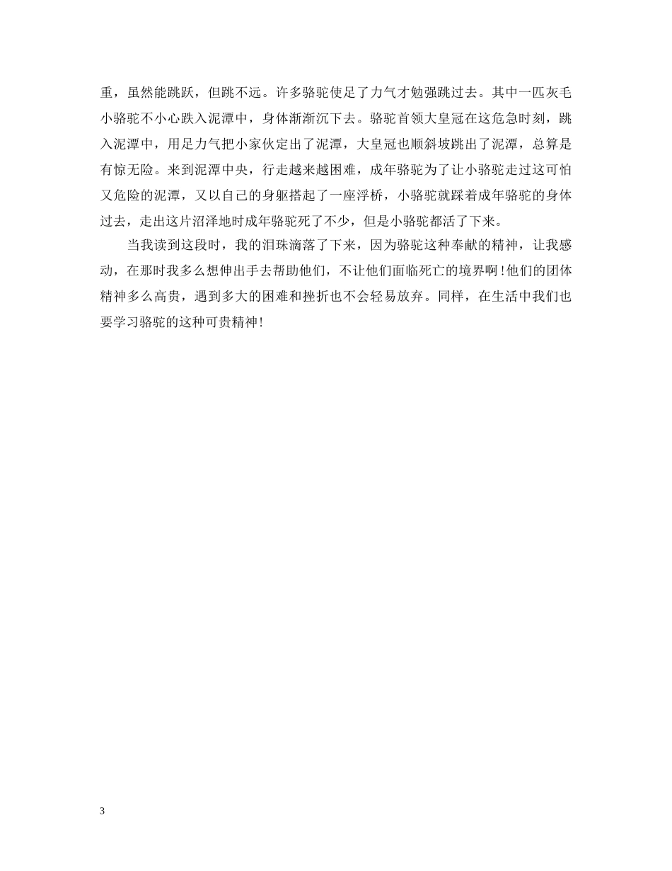 骆驼王子读书心得体会 (000002)_第3页