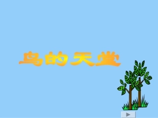 鸟的天堂 (5)