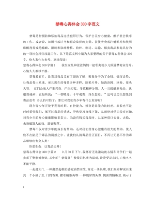 禁毒心得体会300字范文 