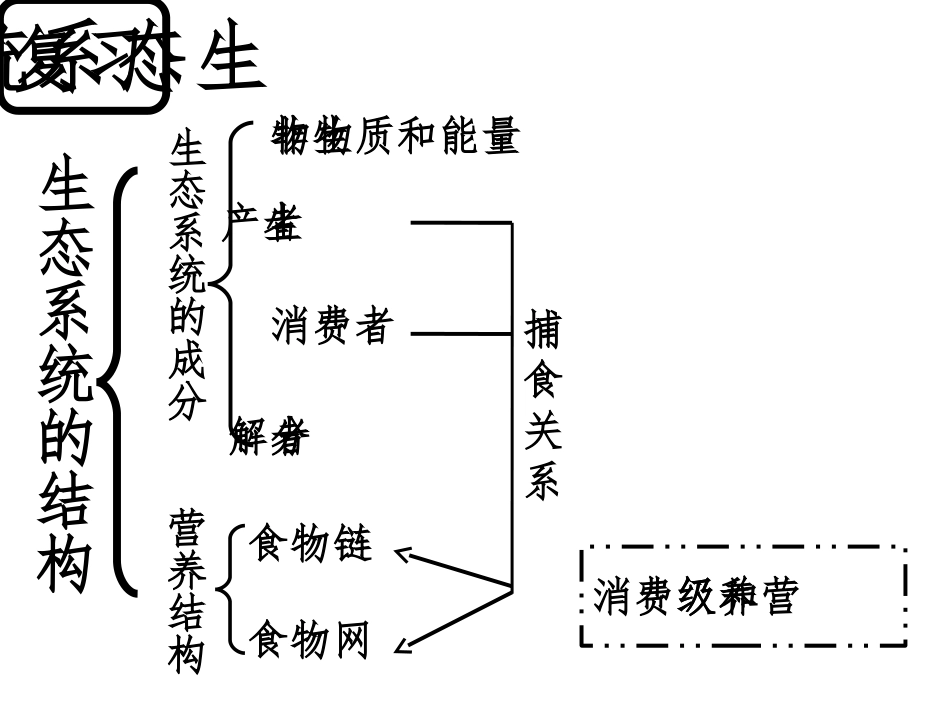 生态系统的能量流动PPT_第1页