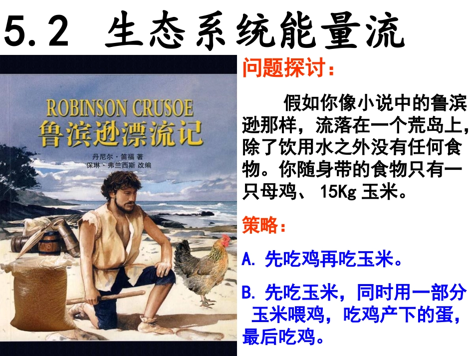 生态系统的能量流动PPT_第2页