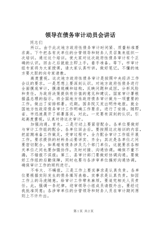 领导在债务审计动员会讲话发言