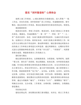落实“闭环督查制”心得体会 