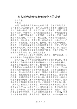 在人民代表会专题询问会上的讲话发言