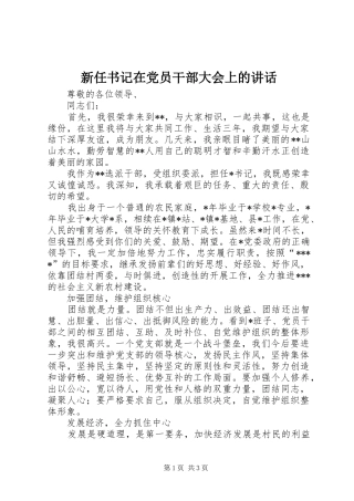 新任书记在党员干部大会上的讲话发言