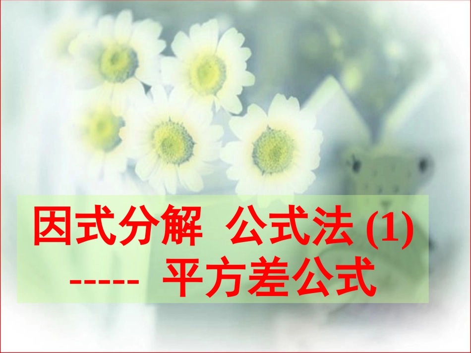 因式分解公式法_第1页