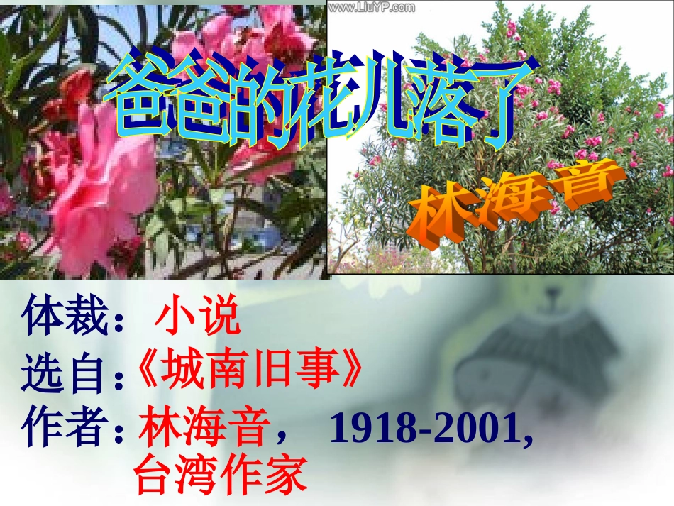 七年级2爸爸的花儿落了_第2页