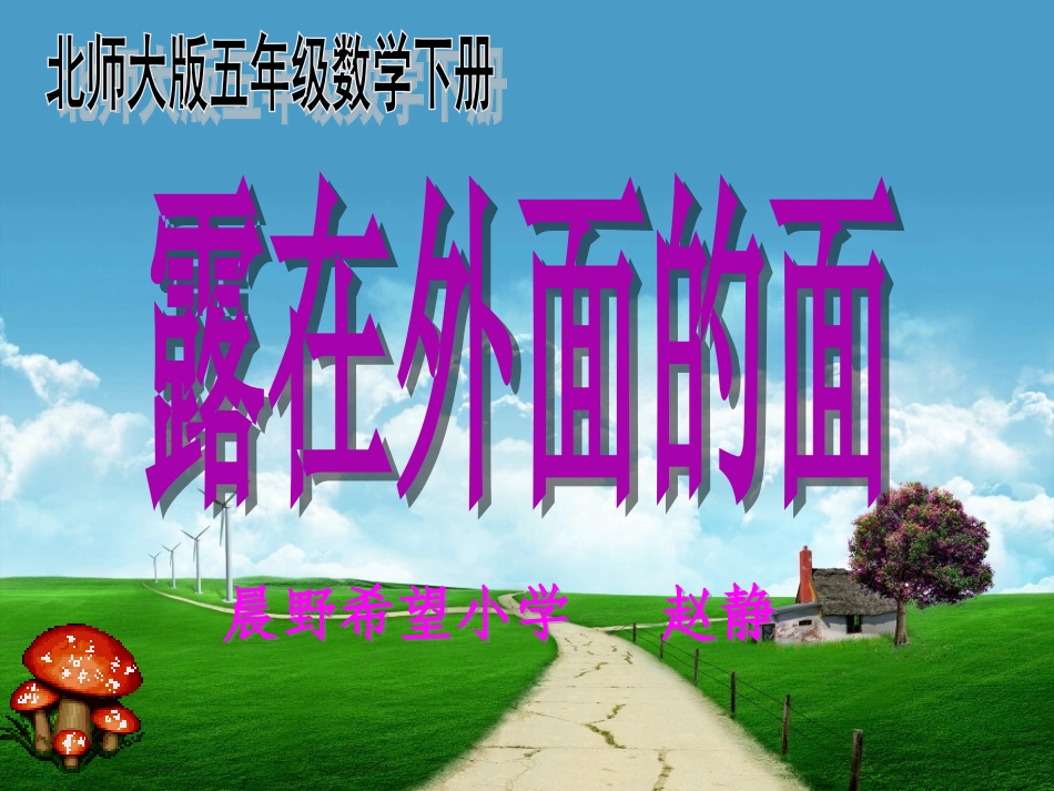 露在外面的面 (2)_第1页