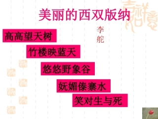 美丽的西双版纳 (2)