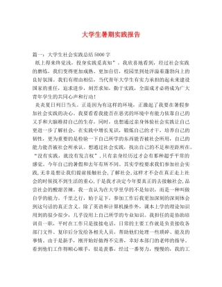 大学生暑期实践报告 