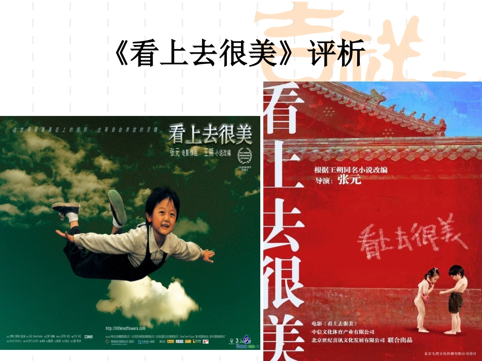 看上去很美》评_第2页