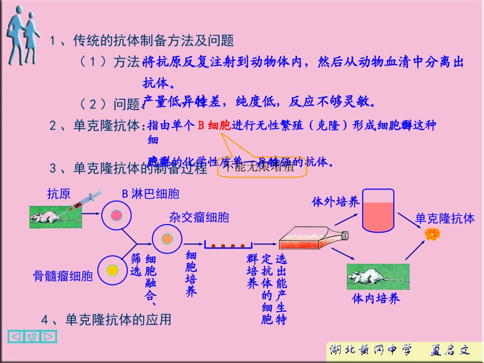 动物细胞工程_第3页