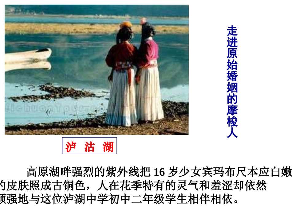 藏戏课件一PPT_第2页