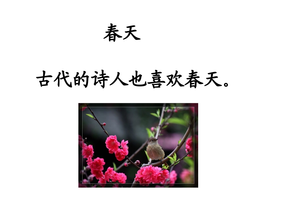 一下语文《4古诗两首》春晓1_第1页