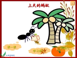 上天的蚂蚁课件