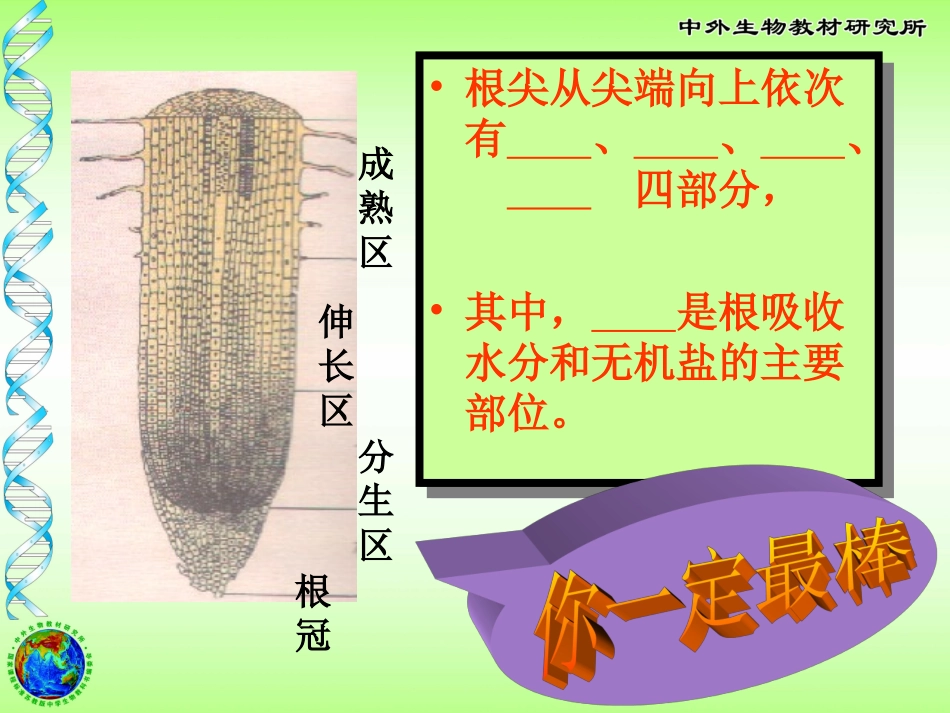 植物生长需要水和无机盐_第2页