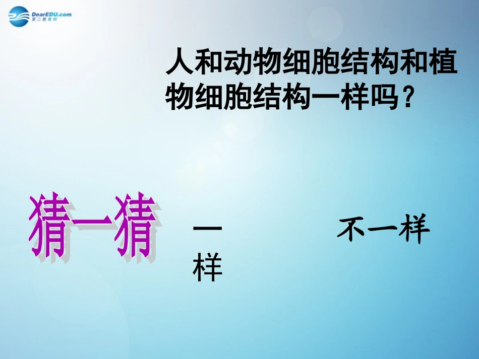 2014秋七年级生物上册第三章第二节人和动物细胞的结构和功能（第2课时）课件苏教版_第3页