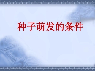 生物-种子的萌发课件