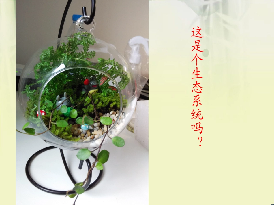 各种生态系统_第1页