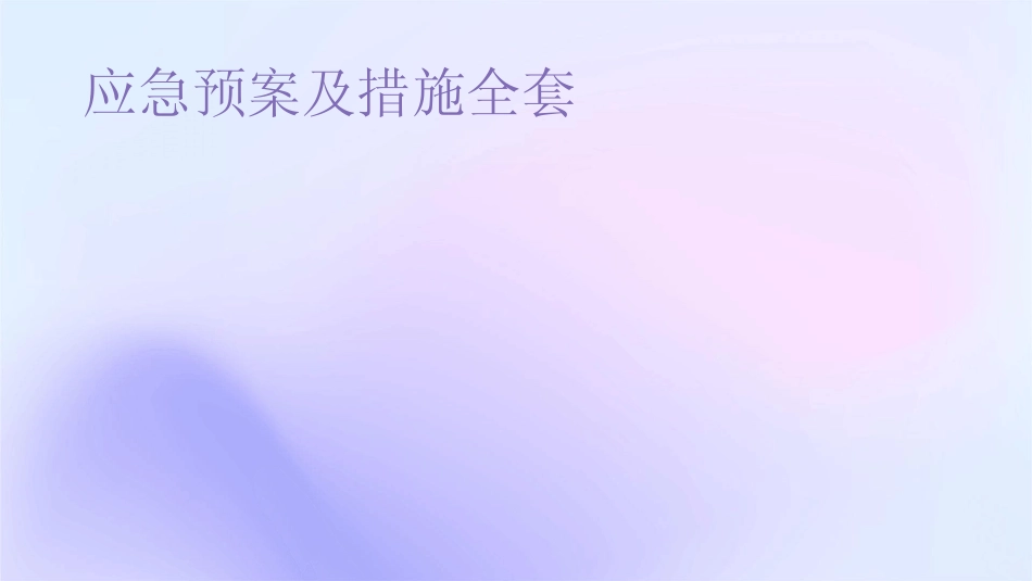 2024版应急预案及措施全套 _第1页