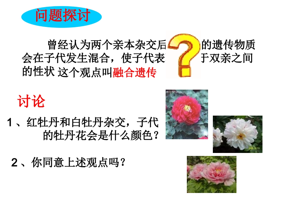 孟德尔的豌豆杂交实验一_第3页