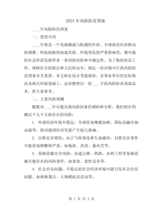 2024年风险防范预案 