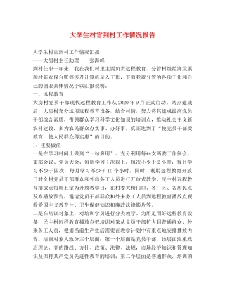 大学生村官到村工作情况报告 